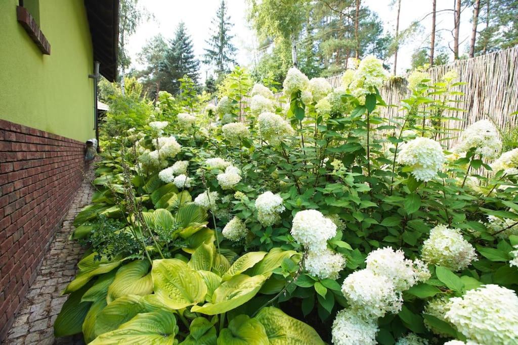 Kaminsko By Latowisko - Puszcza Zielonka Villa Buitenkant foto